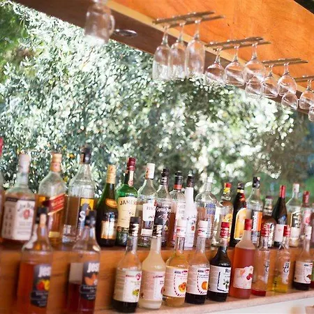 تونتاش فاميلي سويتس كوساداسي